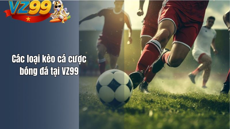 Cá cược bóng đá VZ99 – Nơi trải nghiệm đam mê và chiến thuật Các loại kèo cá cược bóng đá tại VZ99