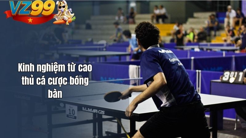Cá cược bóng bàn VZ99 – Nơi kỹ năng, tốc độ và chiến thuật hội tụ Kinh nghiệm từ cao thủ cá cược bóng bàn