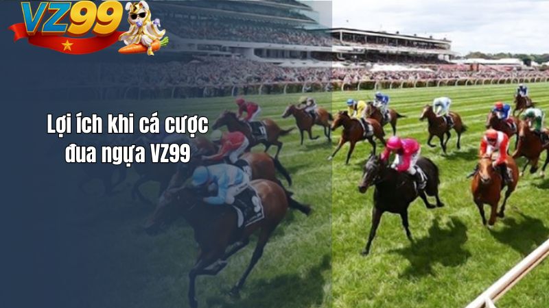 Cá Cược Đua Ngựa VZ99 – Hòa Mình Vào Niềm Đam Mê Tốc Độ Lợi ích khi cá cược đua ngựa VZ99